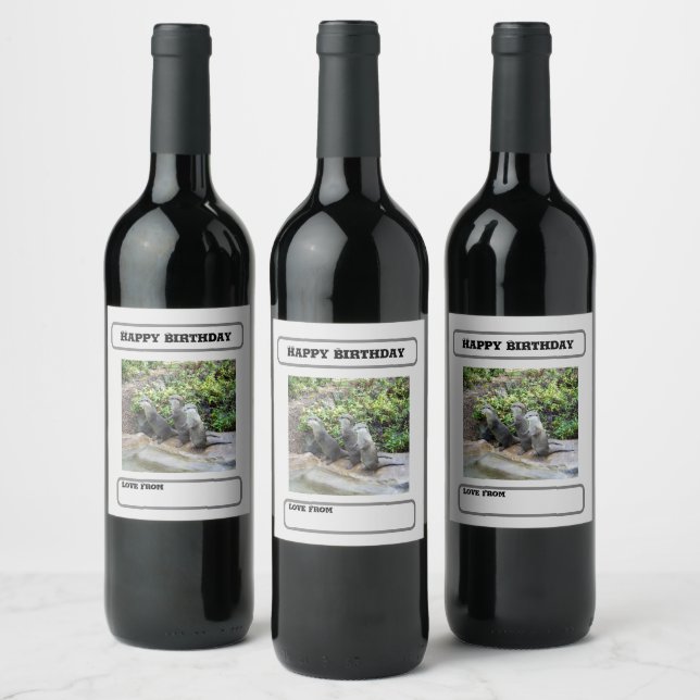 Otter Triplets, Birthday Wine Labels (Bottles)