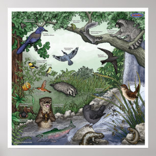 "Otter Twin Magic" poster -- with border