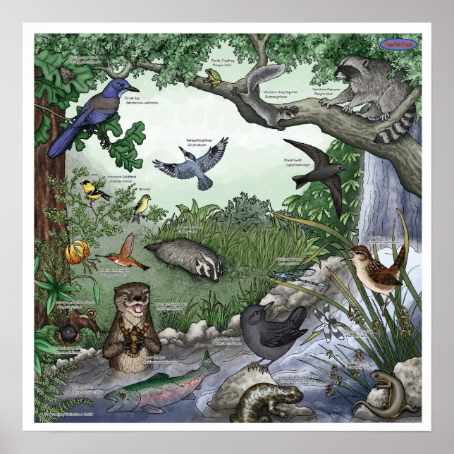 "Otter Twin Magic" poster -- with border (Front)