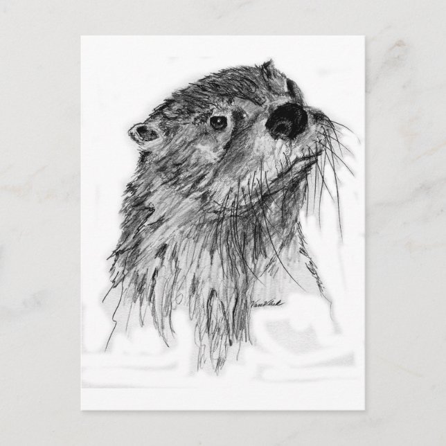 Otter Whiskers Postcard (Front)