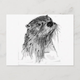 Otter Whiskers Postcard