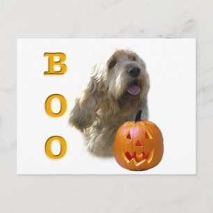 Otterhound Halloween BOO Postcard
