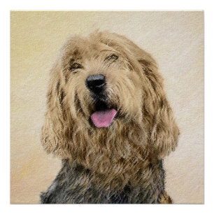 Otterhound Painting - Cute Original Dog Art Poster