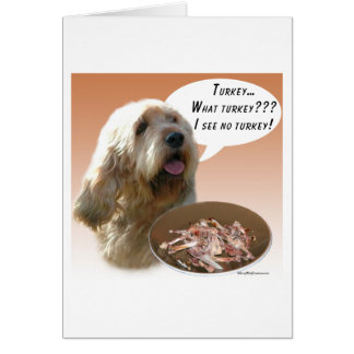 Otterhound Turkey