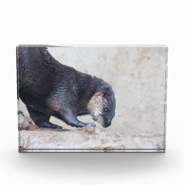 Otterky sleek photo block (Front)