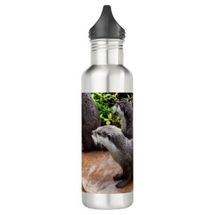 Otterly Adorable Otters, 710 Ml Water Bottle