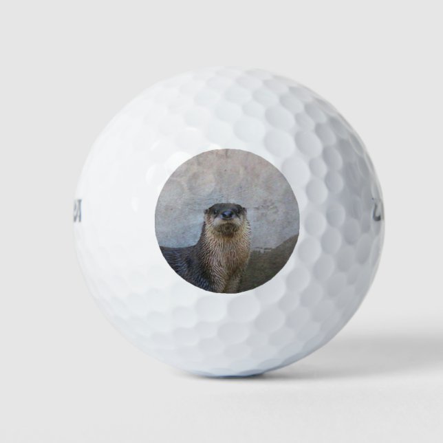 Otterly cute golf balls (Front)