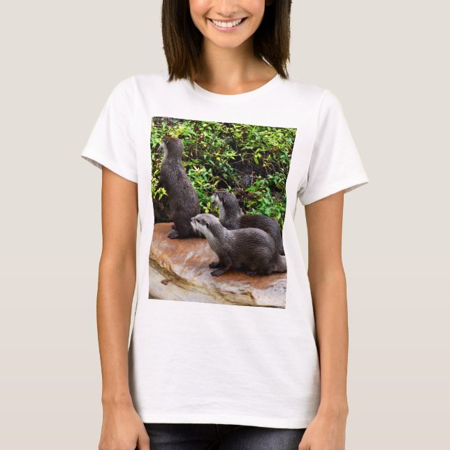 Otterly Delightful: Three Small Gray Otters, T-Shirt (Front)