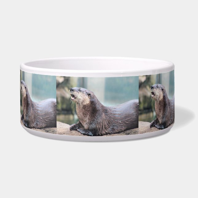 Otterly hilarious (Front)