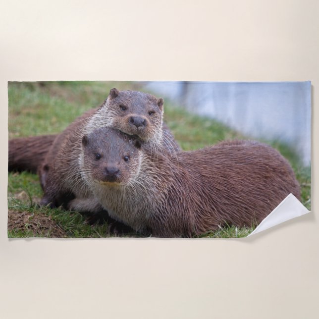 Otterly in Love Beach Towel (Front)