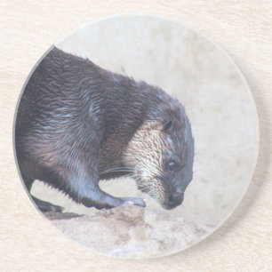 Otterly sleek coaster