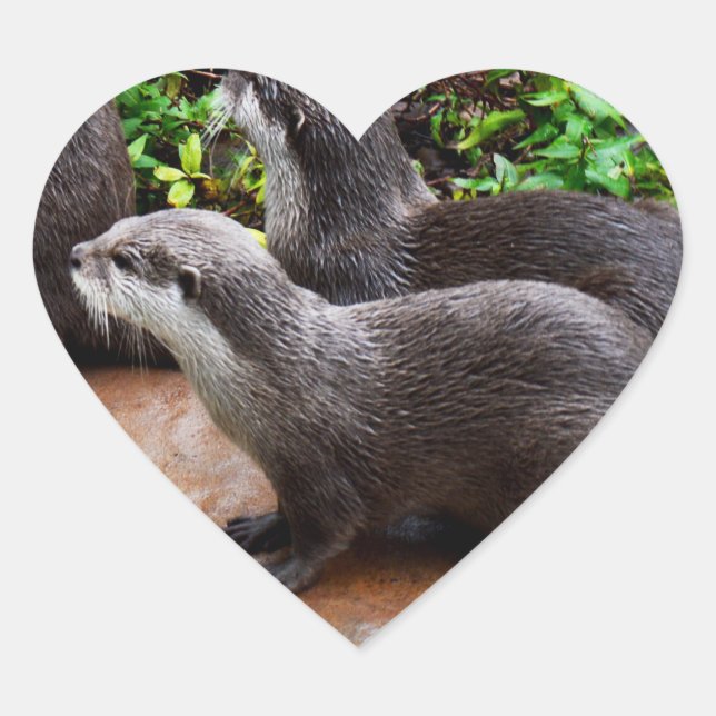 Otterly To Cute, Otter Heart Stickers (Front)