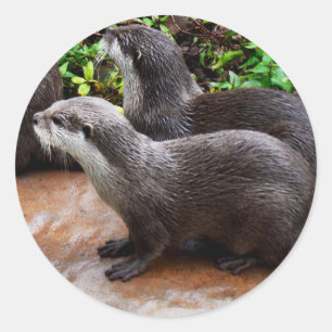 Otterly To Cute, Otter Round Stickers