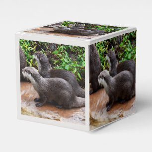 Otterly To Cute, Otters, Favour Box
