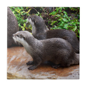 Otterly To Cute, Otters, Tile