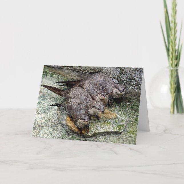 Otters 4 in a row Greeting Card (Front)