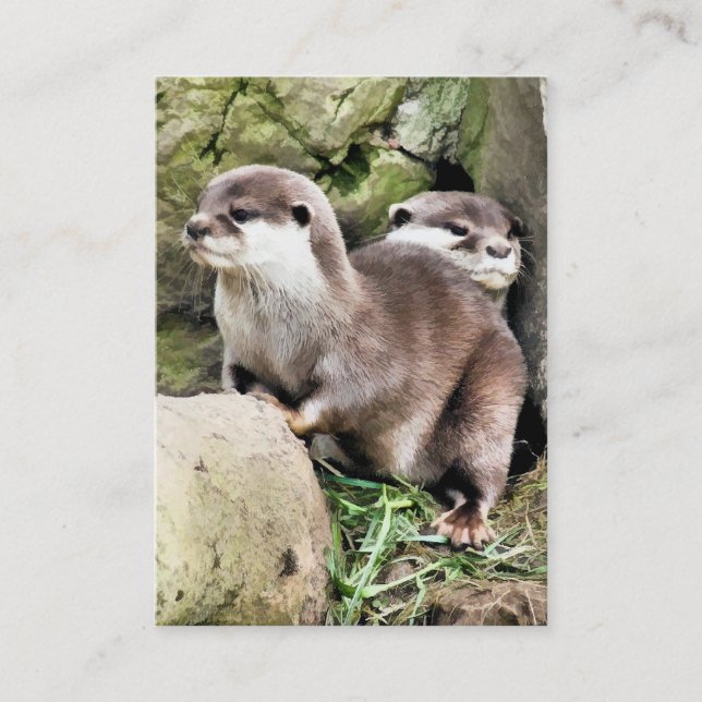 OTTERS BUSINESS CARD (Front)