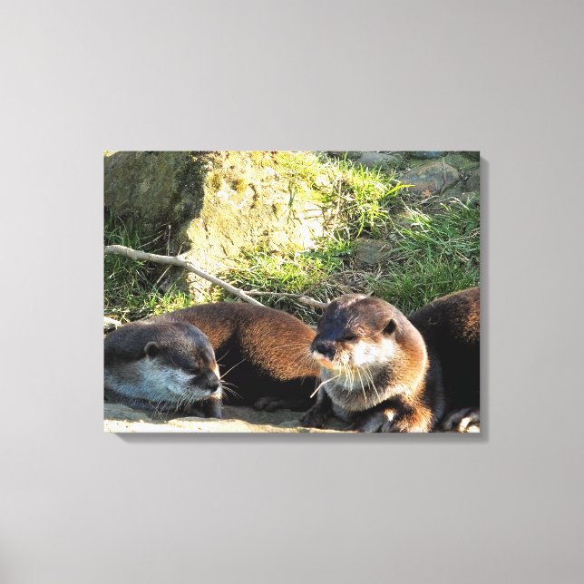 OTTERS CANVAS PRINT (Front)