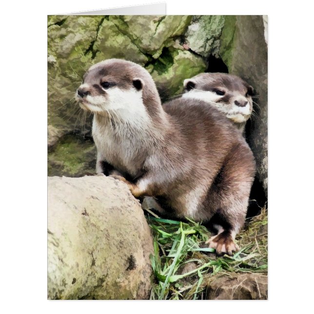 OTTERS CARD (Front)