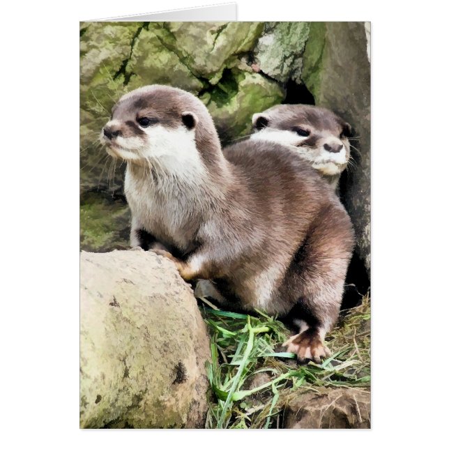 OTTERS CARD (Front)