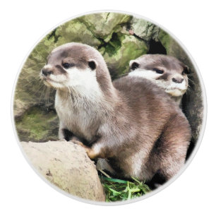 OTTERS CERAMIC KNOB