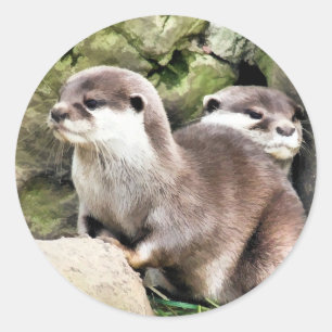 OTTERS CLASSIC ROUND STICKER