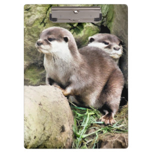 OTTERS CLIPBOARD
