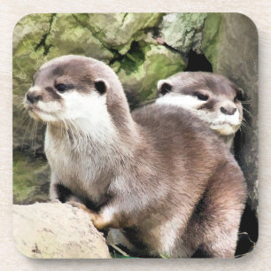 OTTERS COASTER
