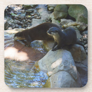 Otters Drinking, Coasters