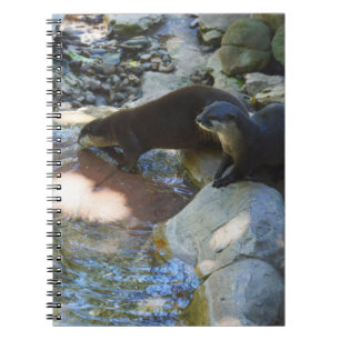 Otters Drinking, Notebook