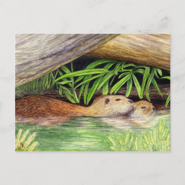 Otters Floating Wildlife Art Postcard (Front)