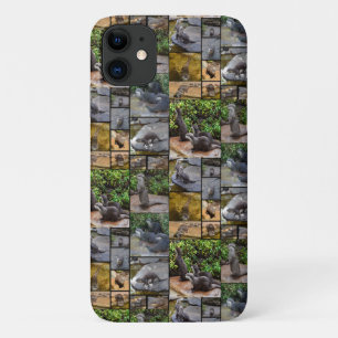 Otters In A Photo Collage, Case-Mate iPhone Case