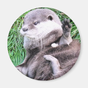 OTTERS MAGNET