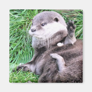 OTTERS MAGNET