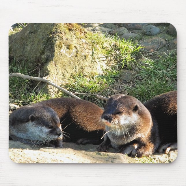 OTTERS MOUSE PAD (Front)