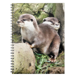 OTTERS SPIRAL NOTEBOOK