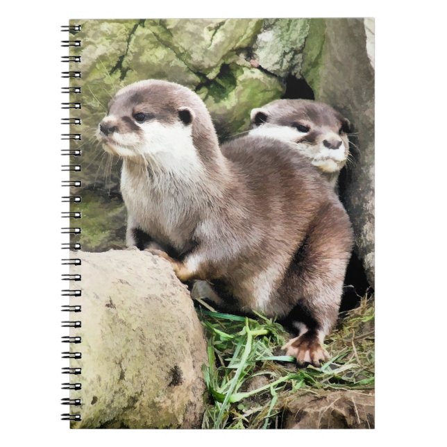 OTTERS SPIRAL NOTEBOOK (Front)