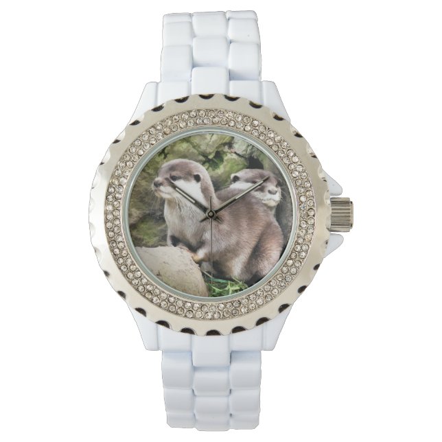 OTTERS WATCH (Front)