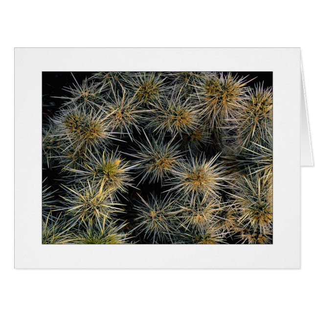 "Ouch Cluster" (Front Horizontal)