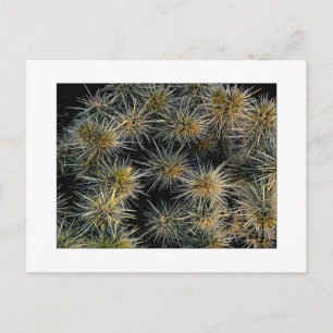 "Ouch Cluster" Postcard