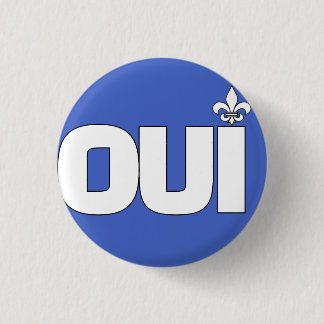 OUI 3 CM ROUND BADGE