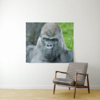 Oumbi's Power A Silverback Portrait