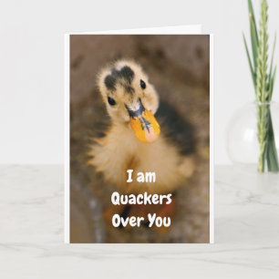 **OUR ANNIVERSARY** I AM QUACKERS OVER "YOU!" CARD