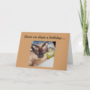 "OUR BIRTHDAY" IS HERE! HOPE IT'S PURR-FECT CARD