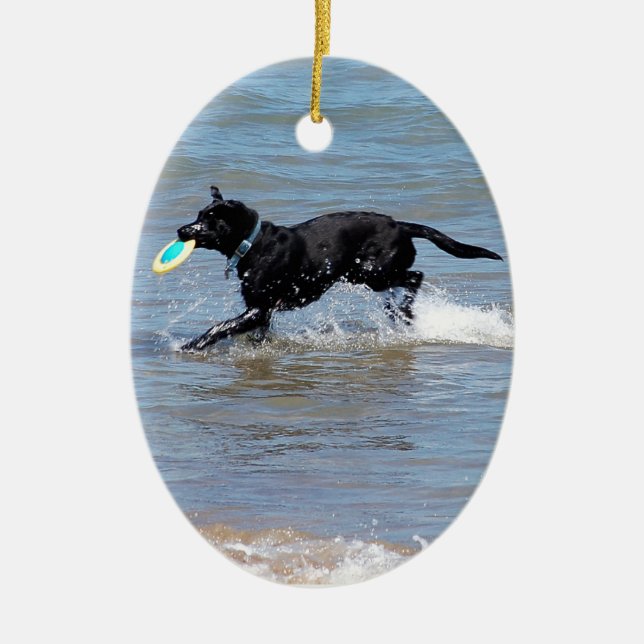 Our Black Labrador Retrieving Frisbee from Lake Ceramic Tree Decoration (Front)