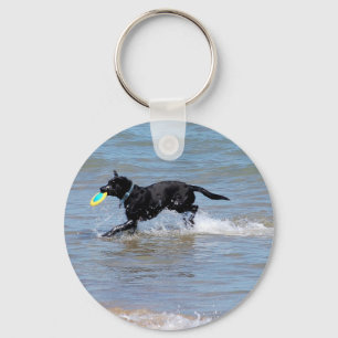 Our Black Labrador Retrieving Frisbee from Lake Key Ring