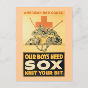 Our Boys Need Sox Postcard