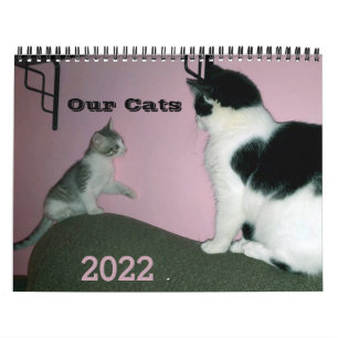 Our Cats 2022 Personalised Calendar