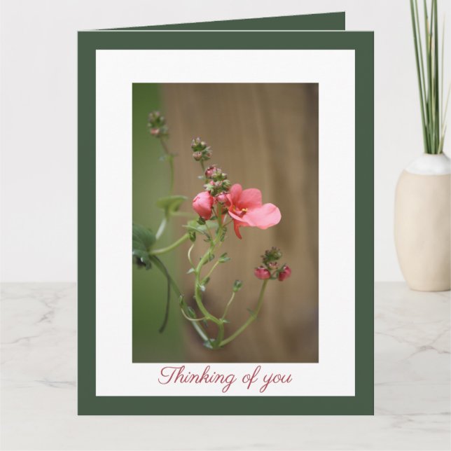 Our Deepest Sympathy Card (Front)