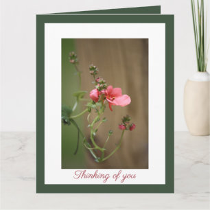 Our Deepest Sympathy Card